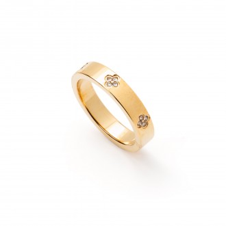 SHINY STEEL RING